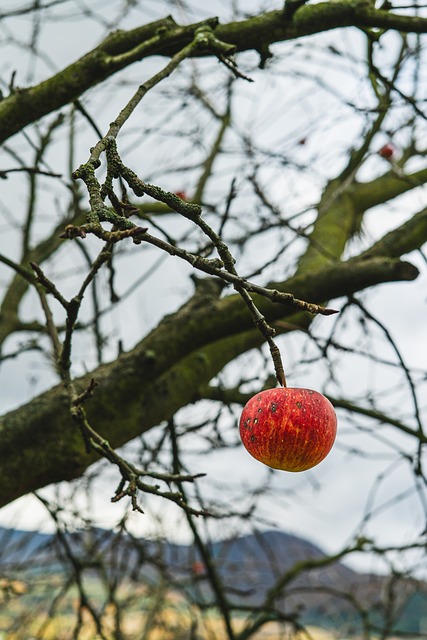 Notion’s new generative AI feature will help find what you need faster