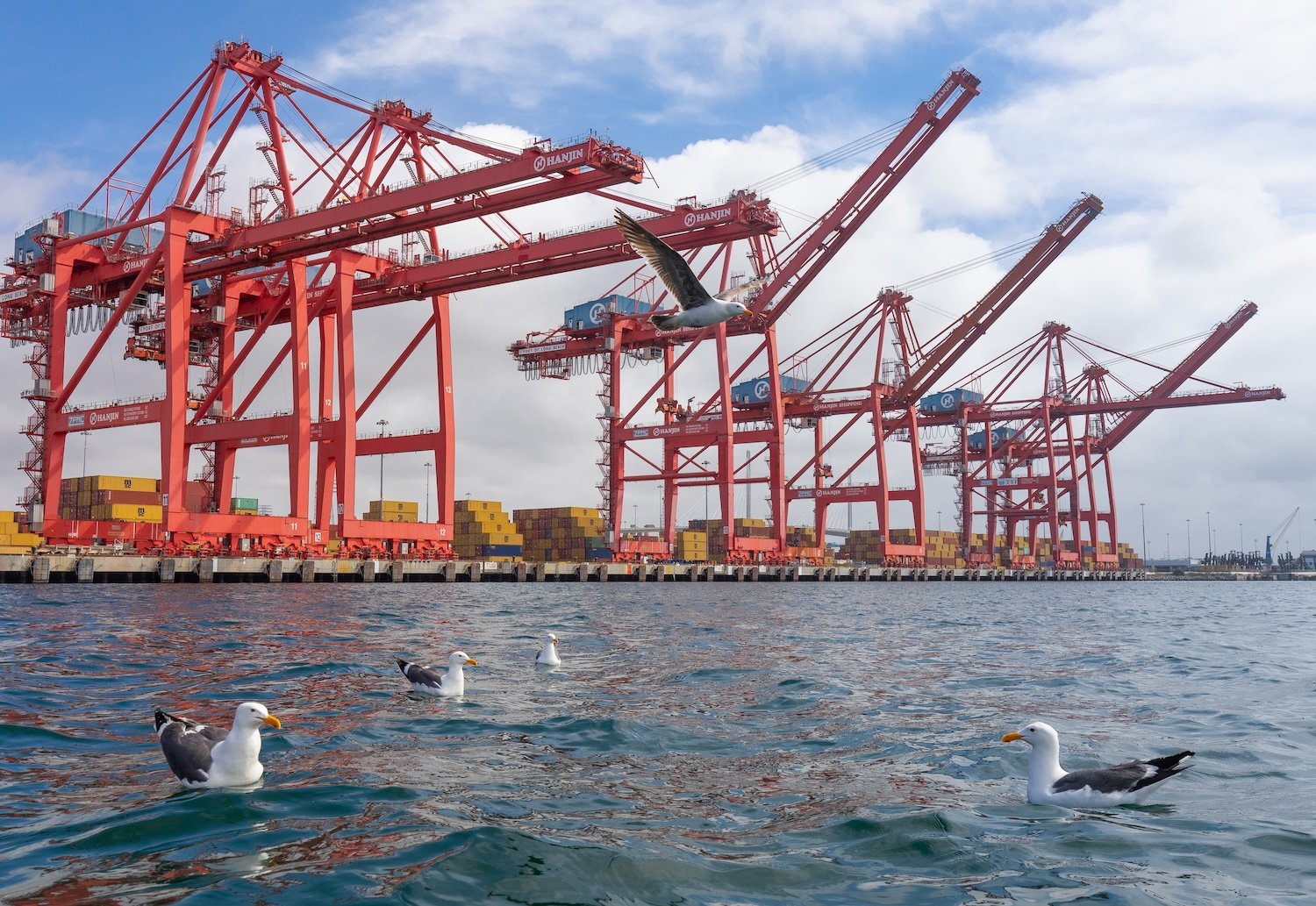 U.S. Imports Drop 19.8% in April (Yes, That’s a Record)