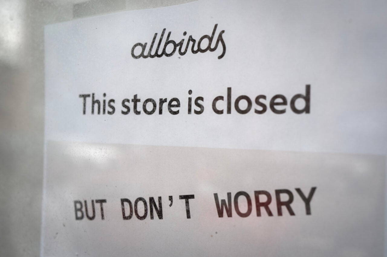 AIbirds Was Sitting Right There: Allbirds Changes Name to Smartbird in AI Pivot